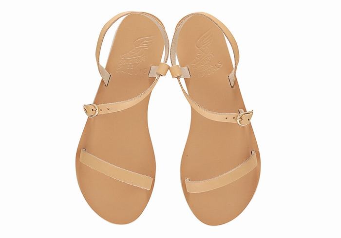 Sandales Bride Arrière Ancient Greek Sandals Niove Leather   | ILR-3888844